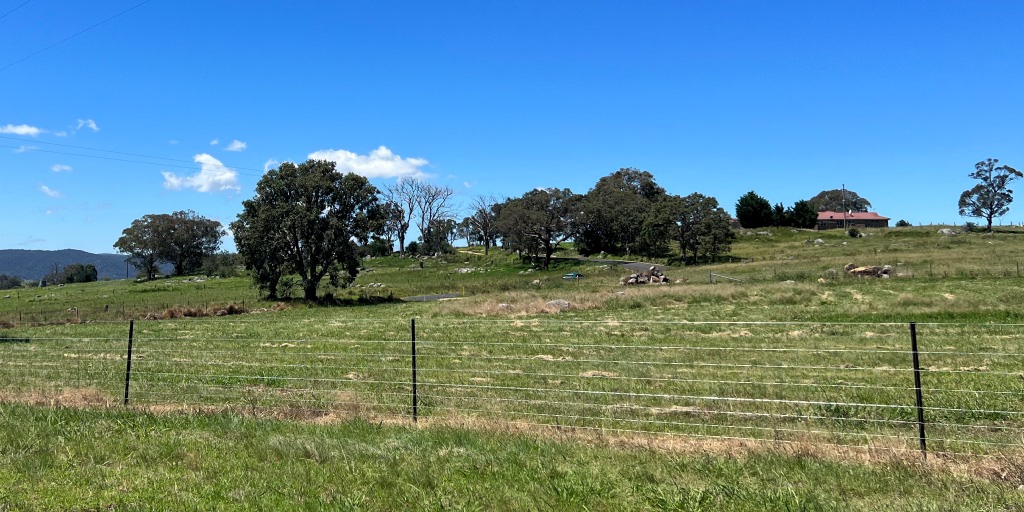 Tenterfield Rise Estate - Tenterfield 