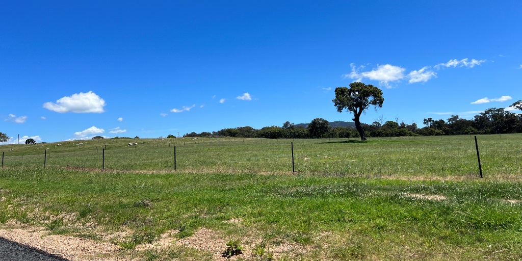 Tenterfield Rise Estate - Tenterfield 