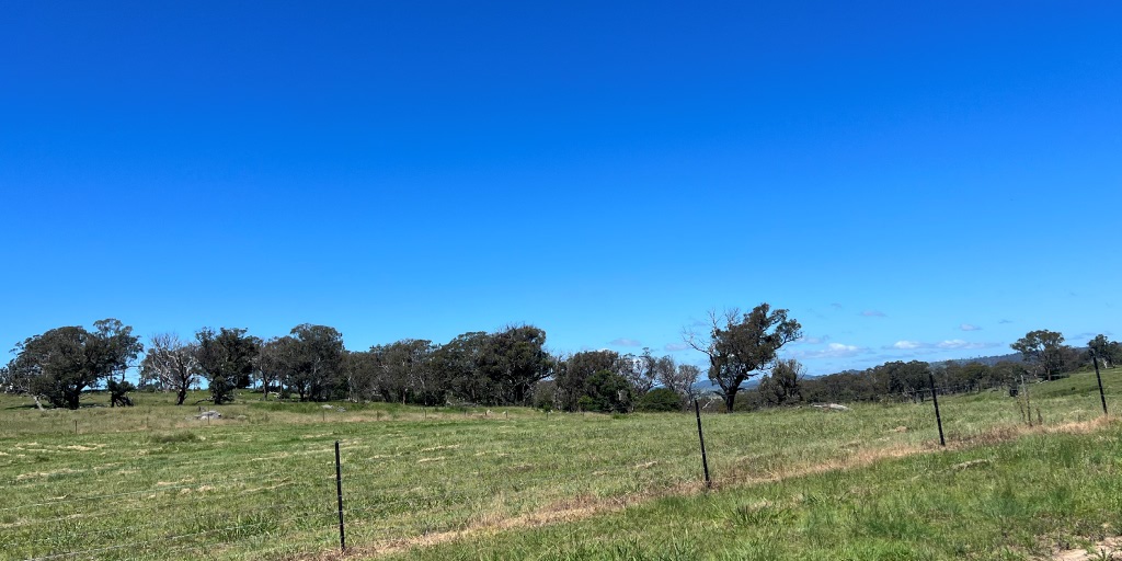 Tenterfield Rise Estate - Tenterfield 