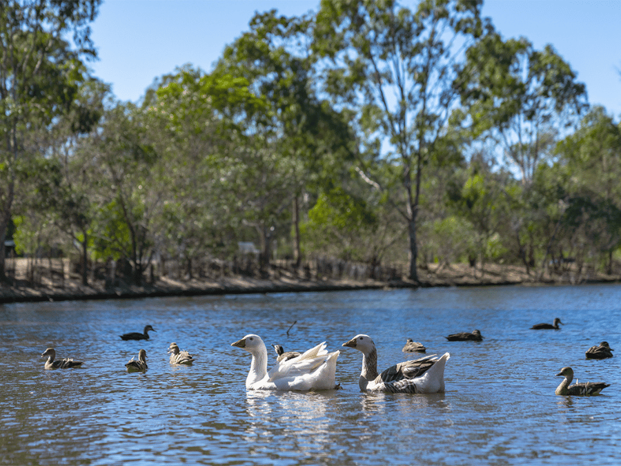 The Bowery Estate - Burpengary East  Park