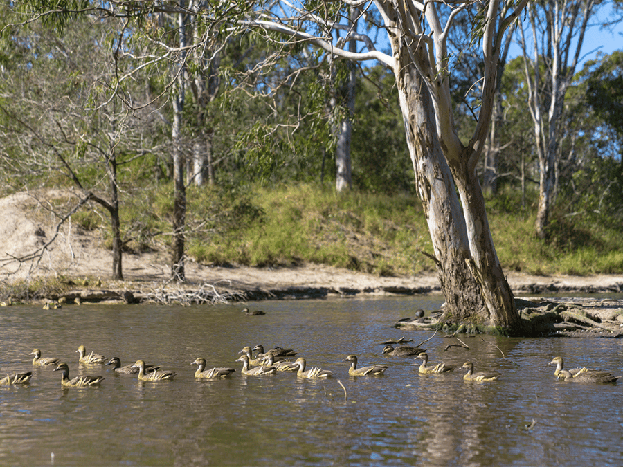 The Bowery Estate - Burpengary East  Park