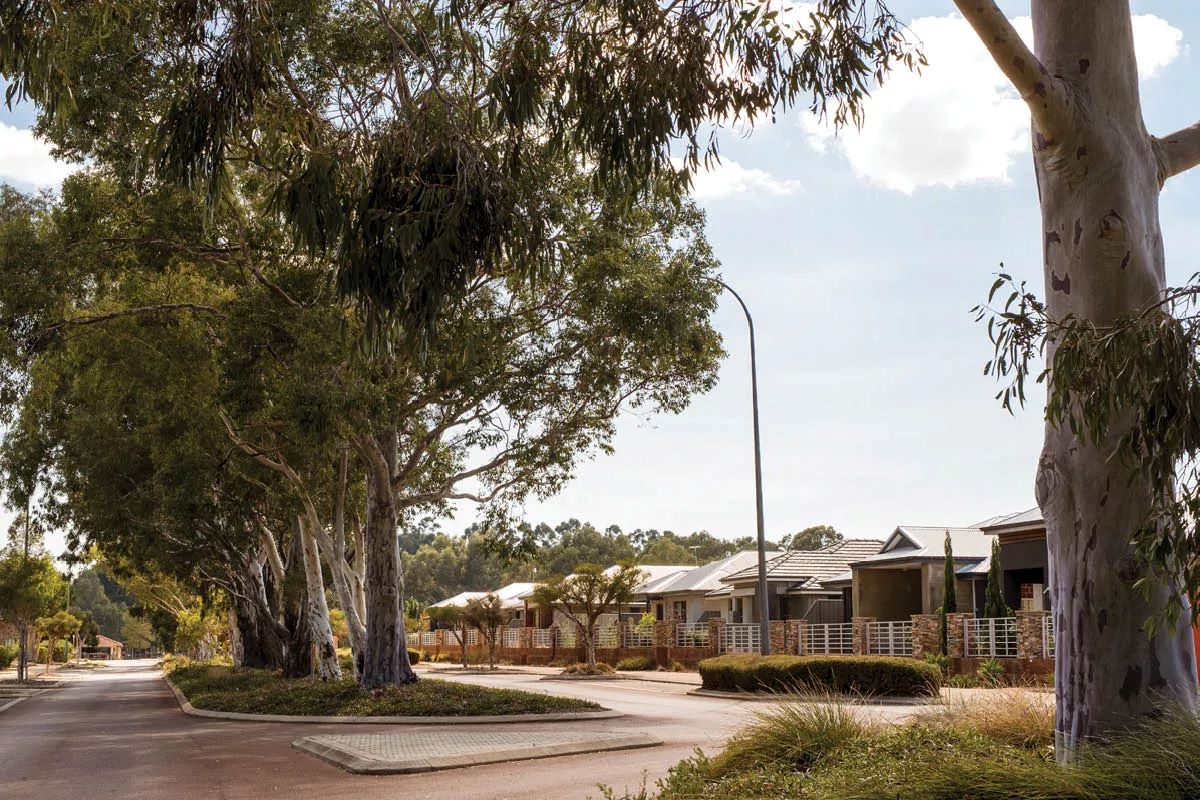 The Glades Estate - Byford Streetscape