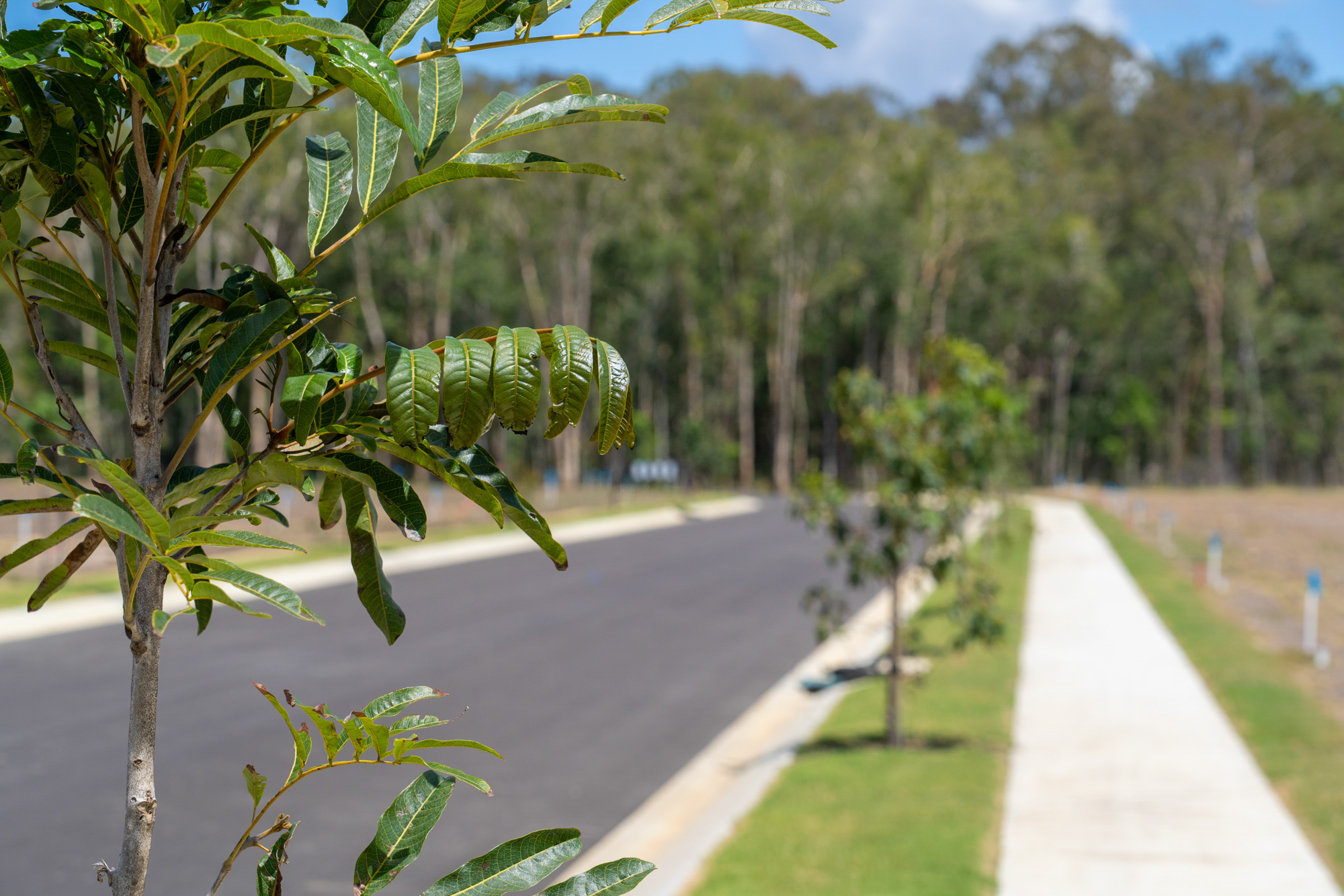 The Glades Estate - Wondunna Streetscape