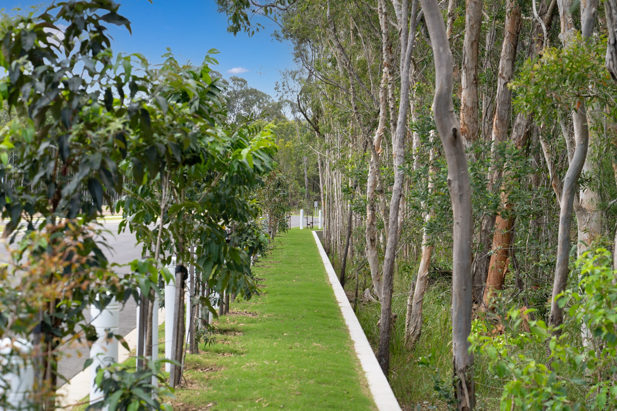 The Glades Estate - Wondunna Park
