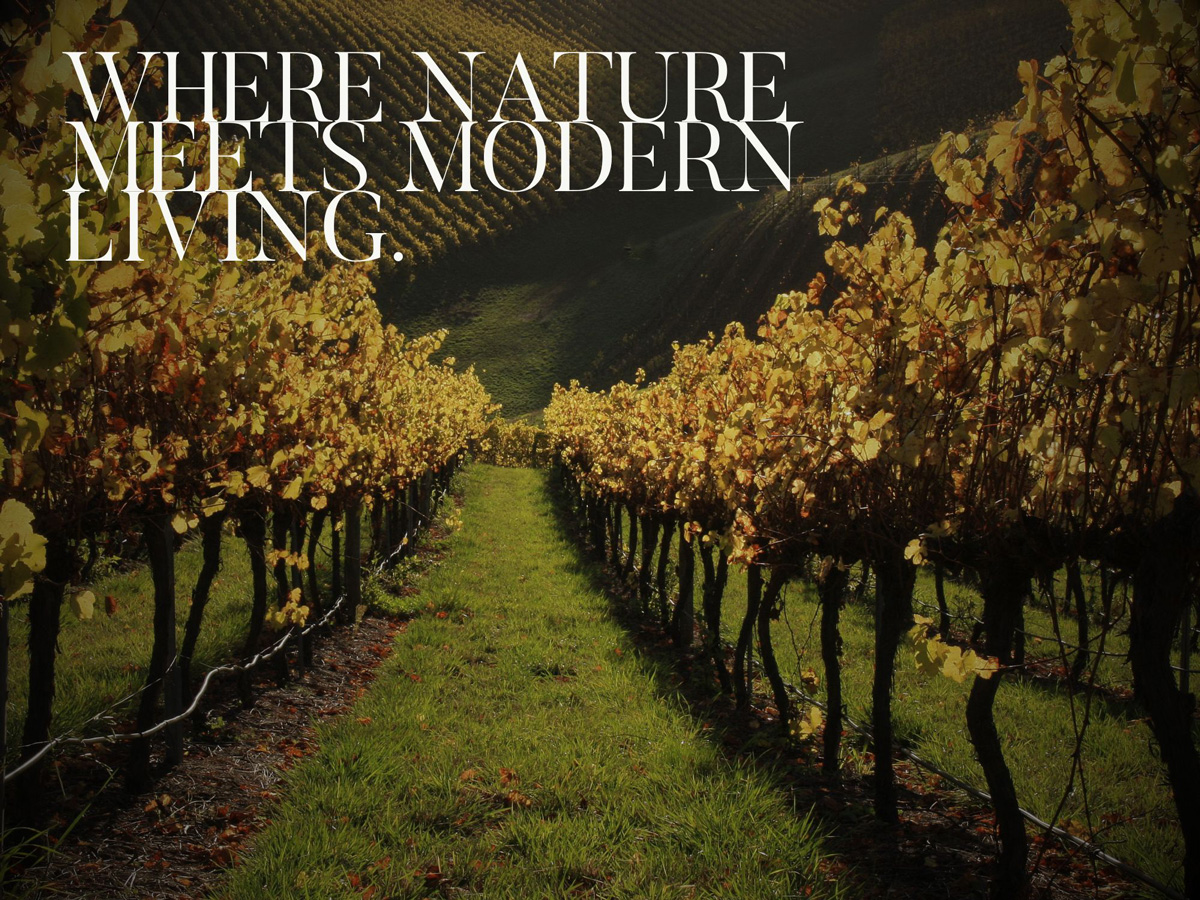 The Grange Estate - Mount Barker Lifestyle