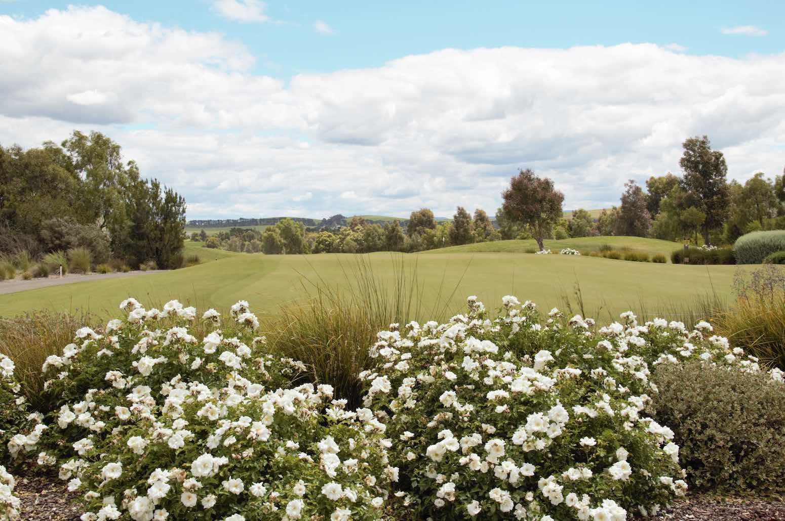 The Greens at Mandalay - Beveridge Lifestyle