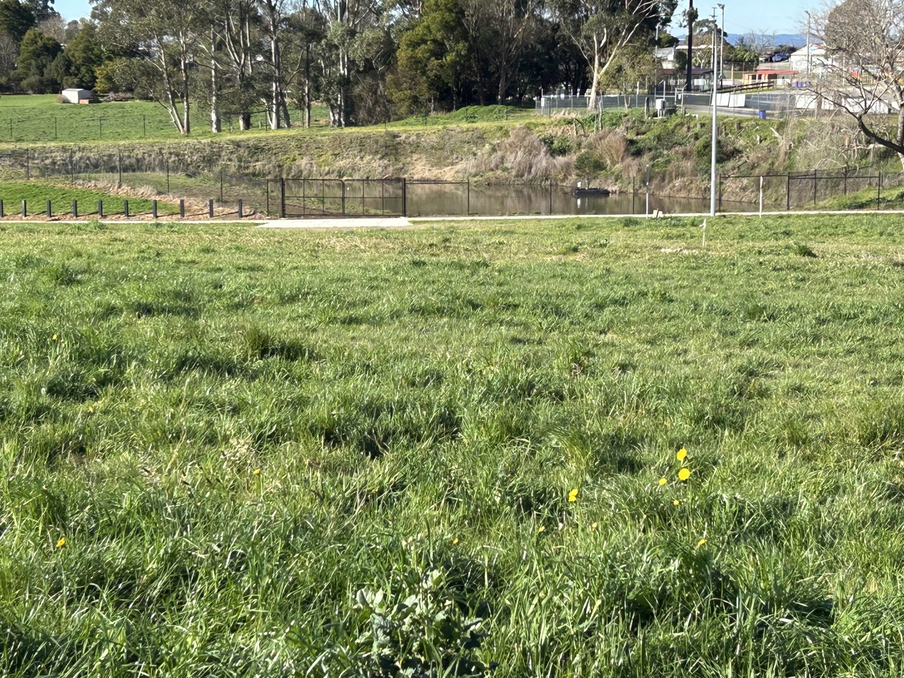 The Oaks Estate - Poowong Streetscape