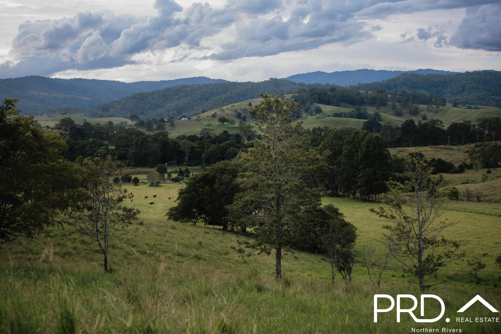 The Ranges - Wiangaree Aerial