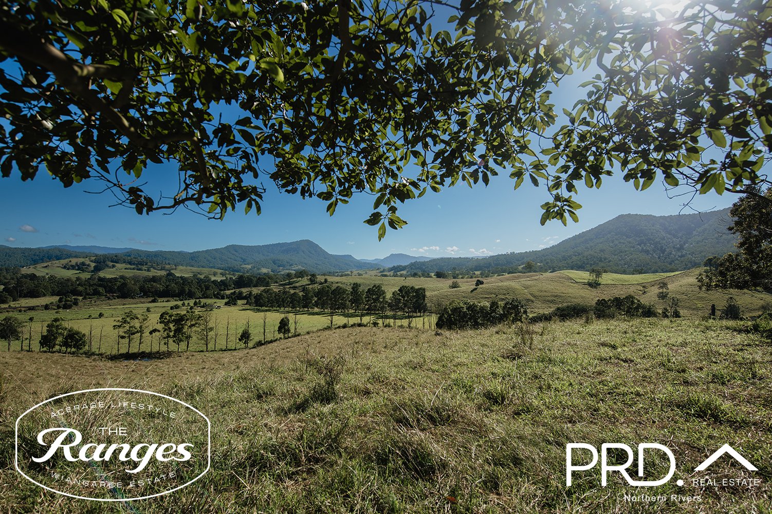 The Ranges - Wiangaree Aerial