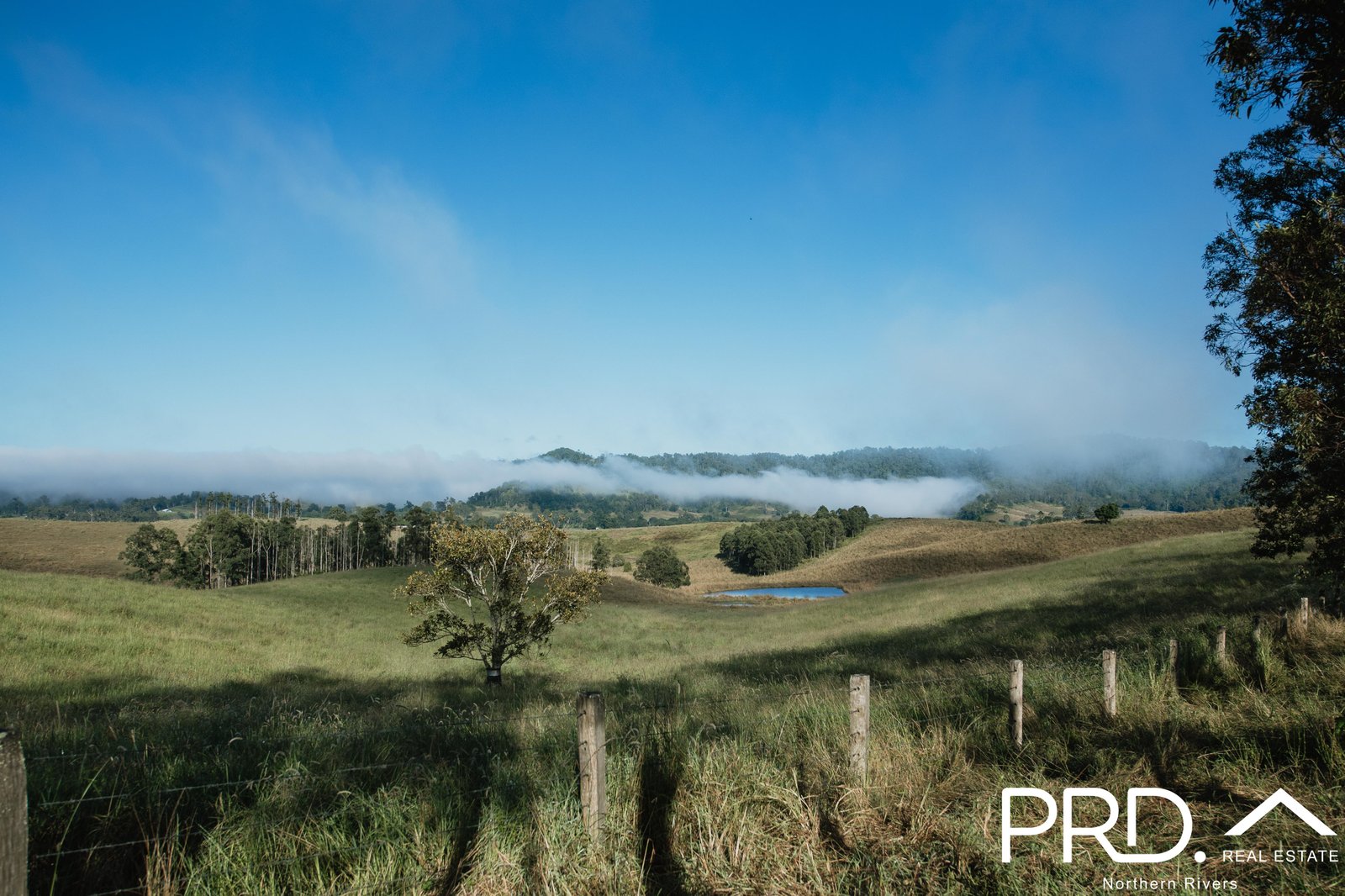 The Ranges - Wiangaree Aerial