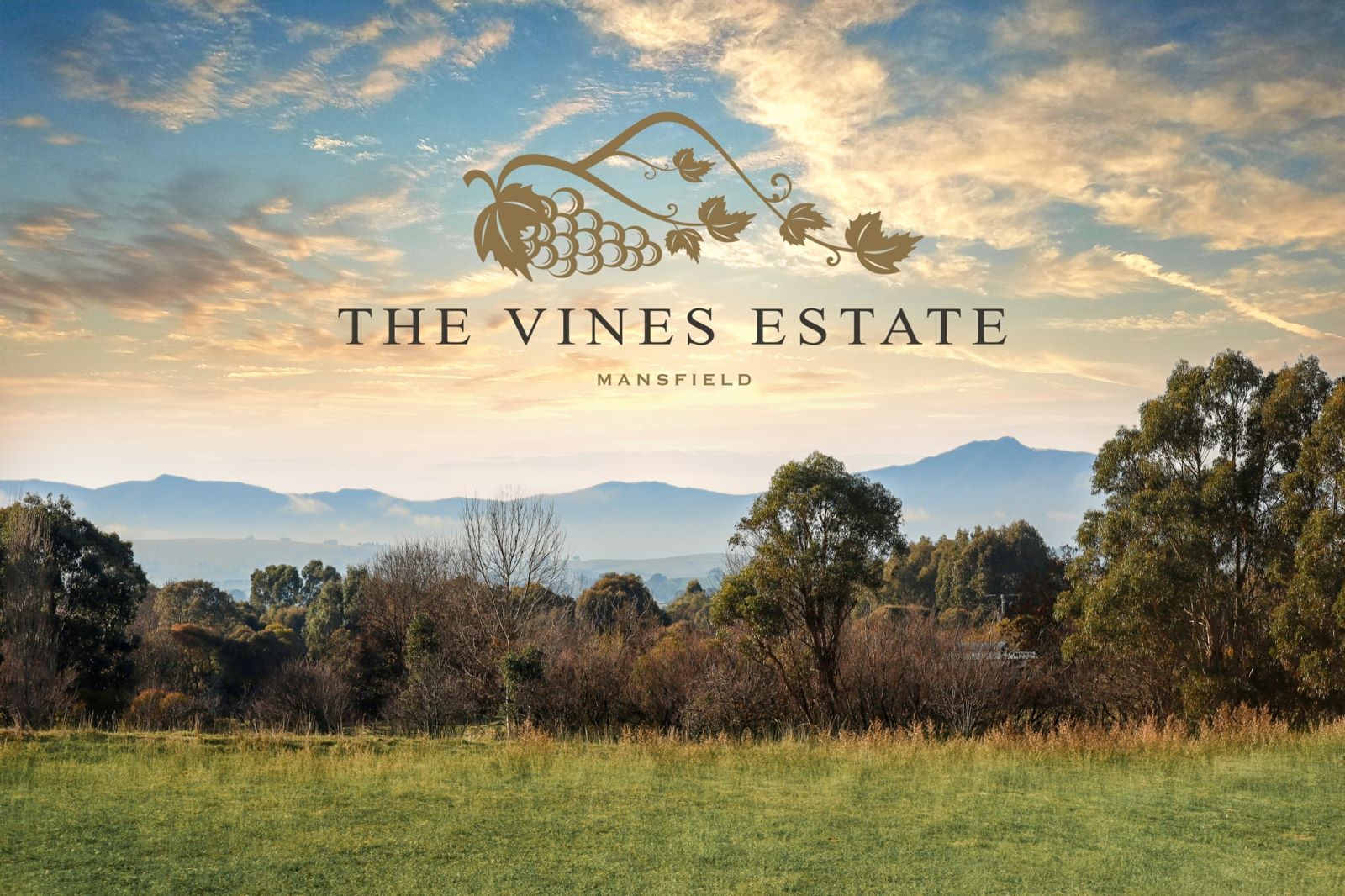 The Vines Estate - Mansfield Other