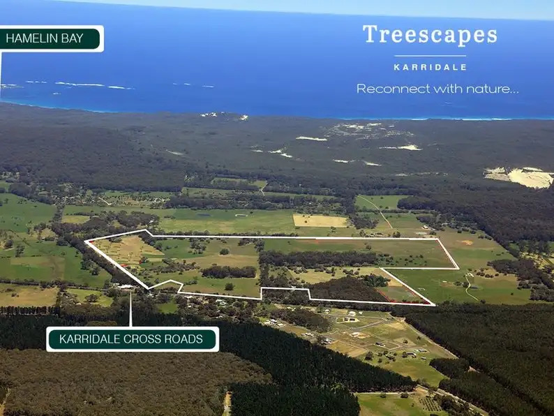 Treescapes Estate - Karridale Aerial