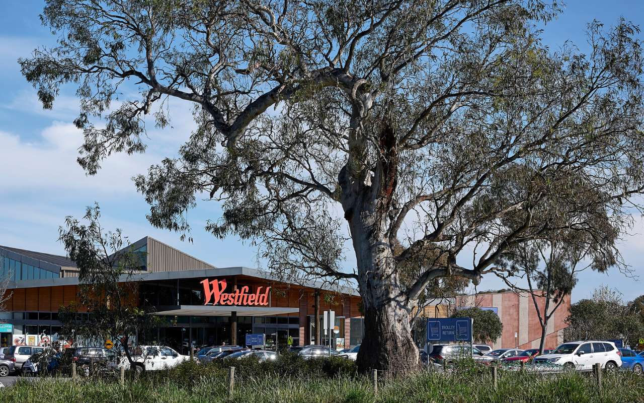 Trilogy Place Estate - South Morang Lifestyle 2