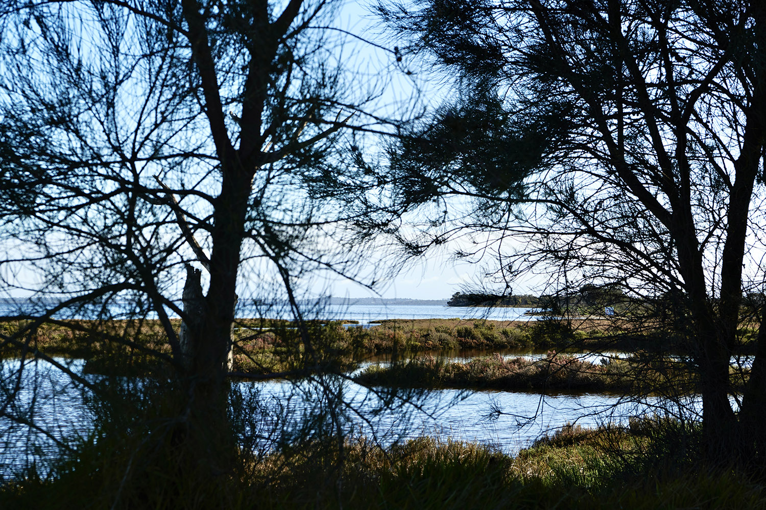 Tuckey Cove Estate - Dudley Lifestyle