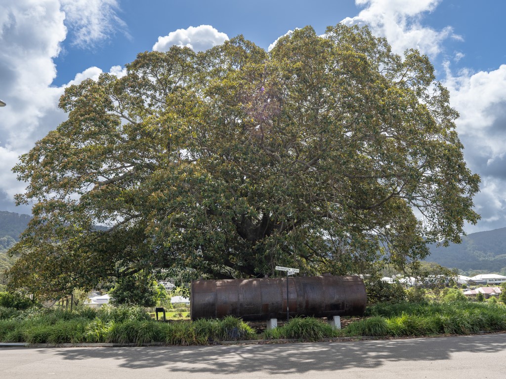 Vista Park Estate - Wongawilli Park