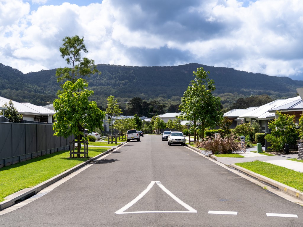 Vista Park Estate - Wongawilli Streetscape