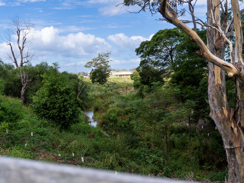 Vista Park Estate - Wongawilli Streetscape