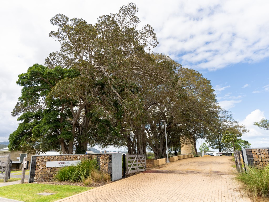 Vista Park Estate - Wongawilli Amenities