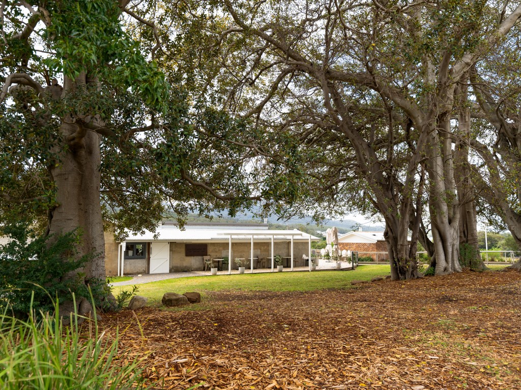 Vista Park Estate - Wongawilli Amenities