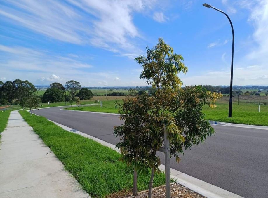 Wallis Meadows Estate - East Maitland