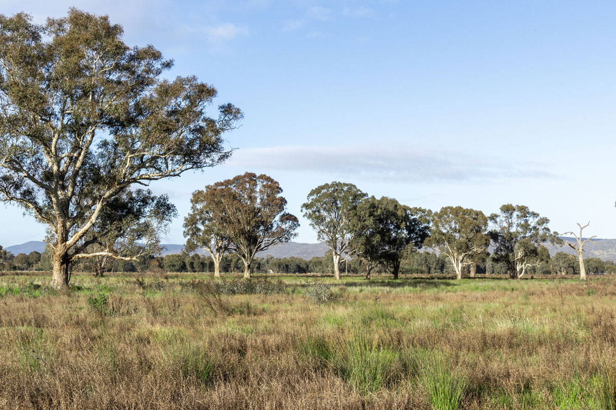 Warby Views Estate - Wangaratta Amenities