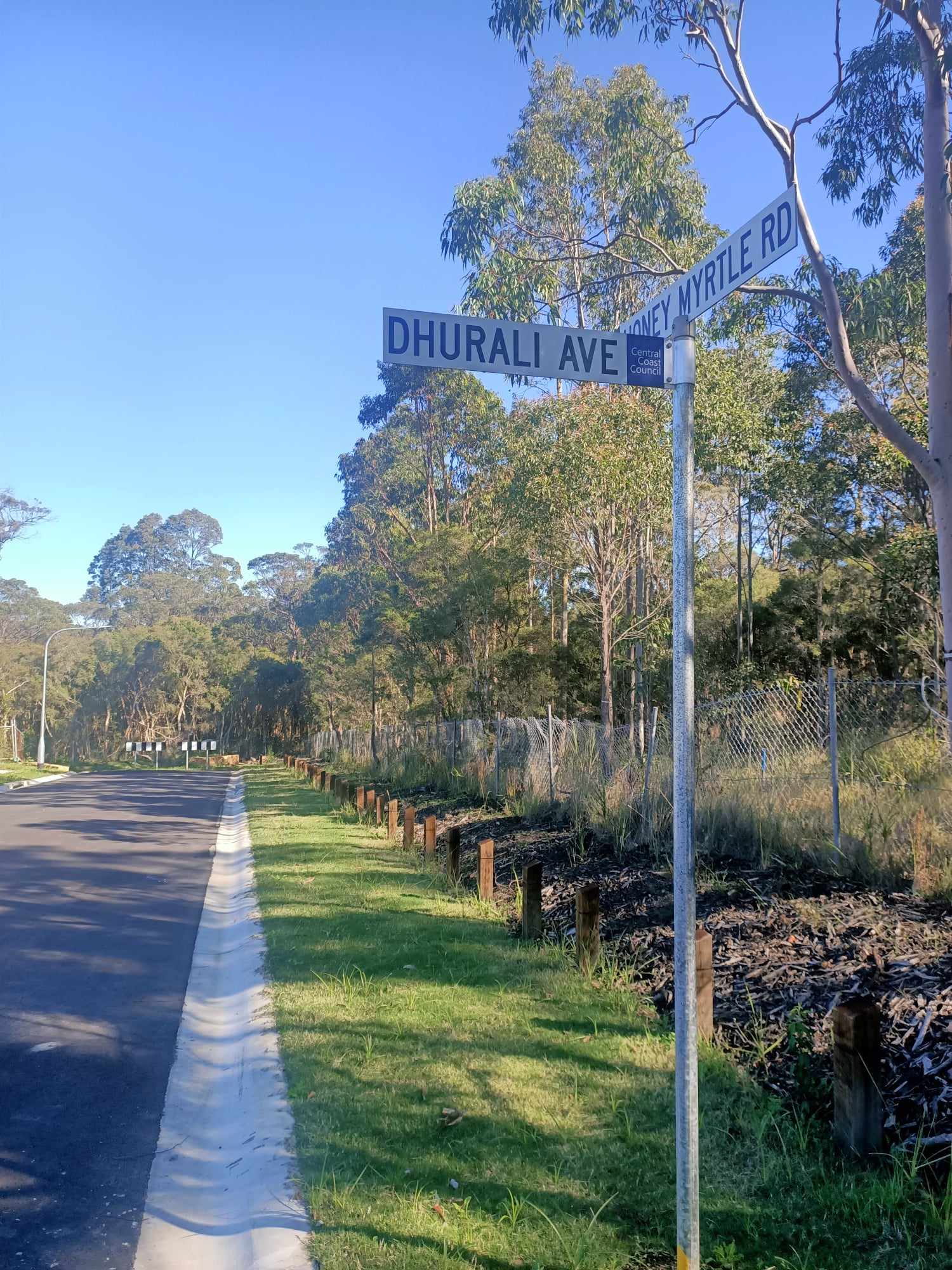Warnervale Rise Estate - Warnervale Streetscape