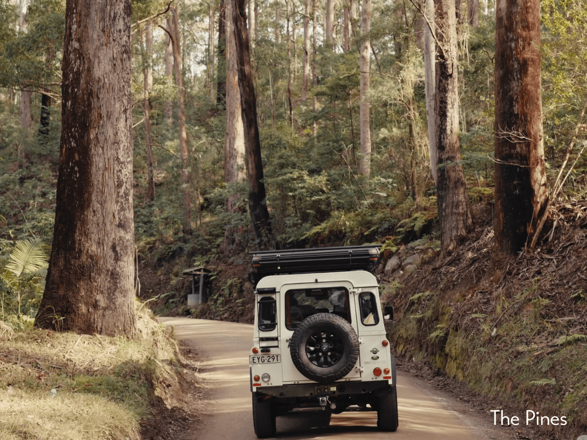 Watagan Park Estate - Cooranbong Lifestyle