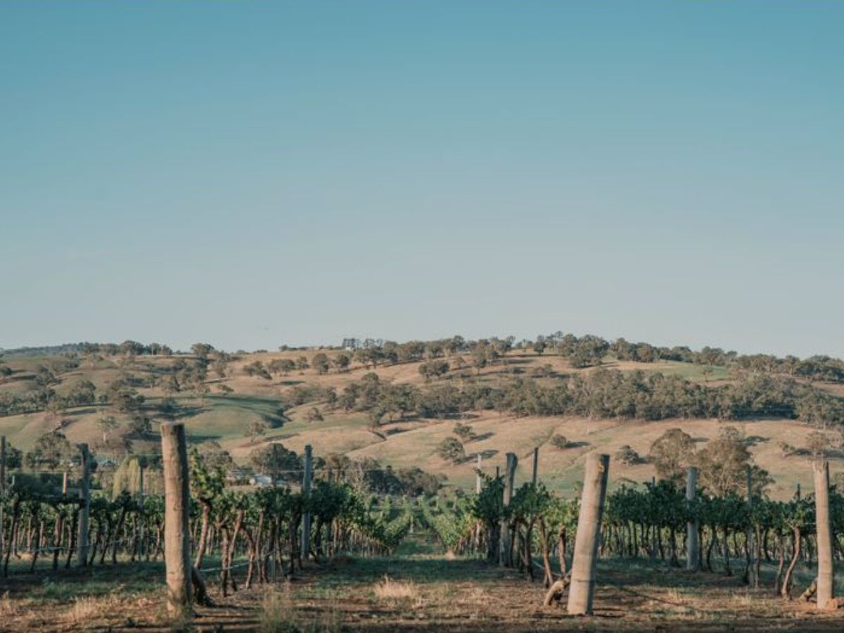 Westwinds Estate - Orang Lifestyle