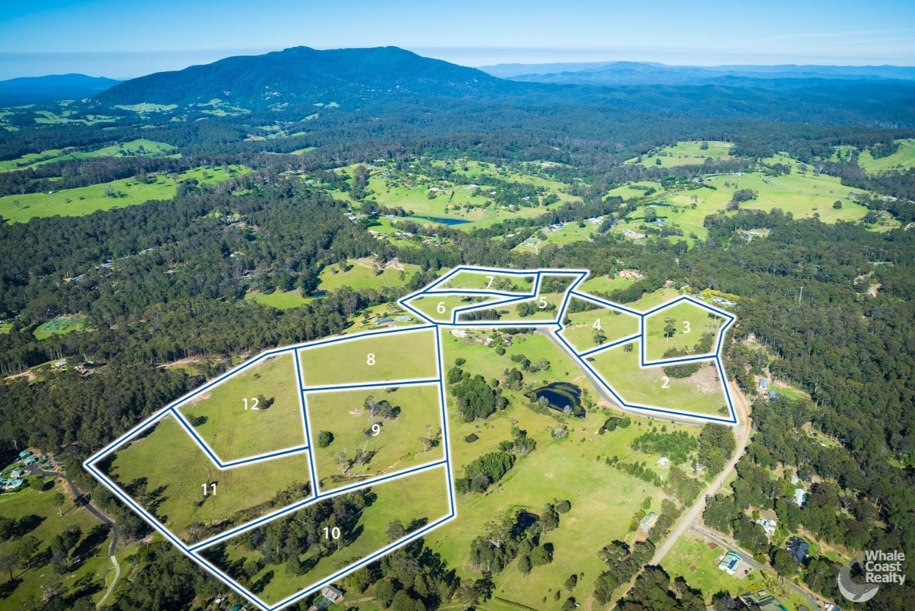 Wonga Park Estate - Narooma Aerial