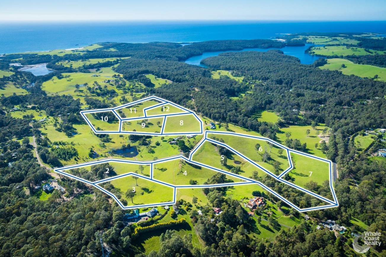 Wonga Park Estate - Narooma Aerial