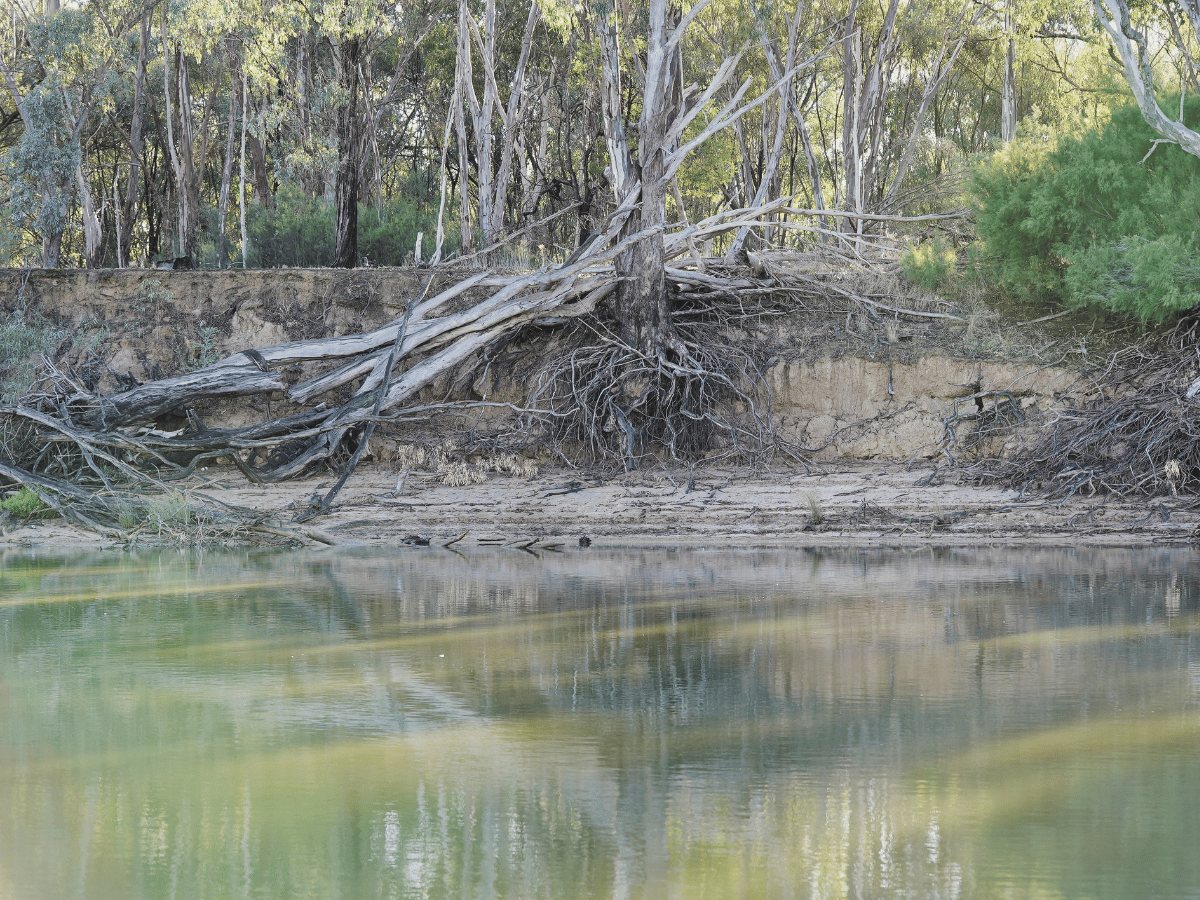 Yallarah Estate - Echuca Other