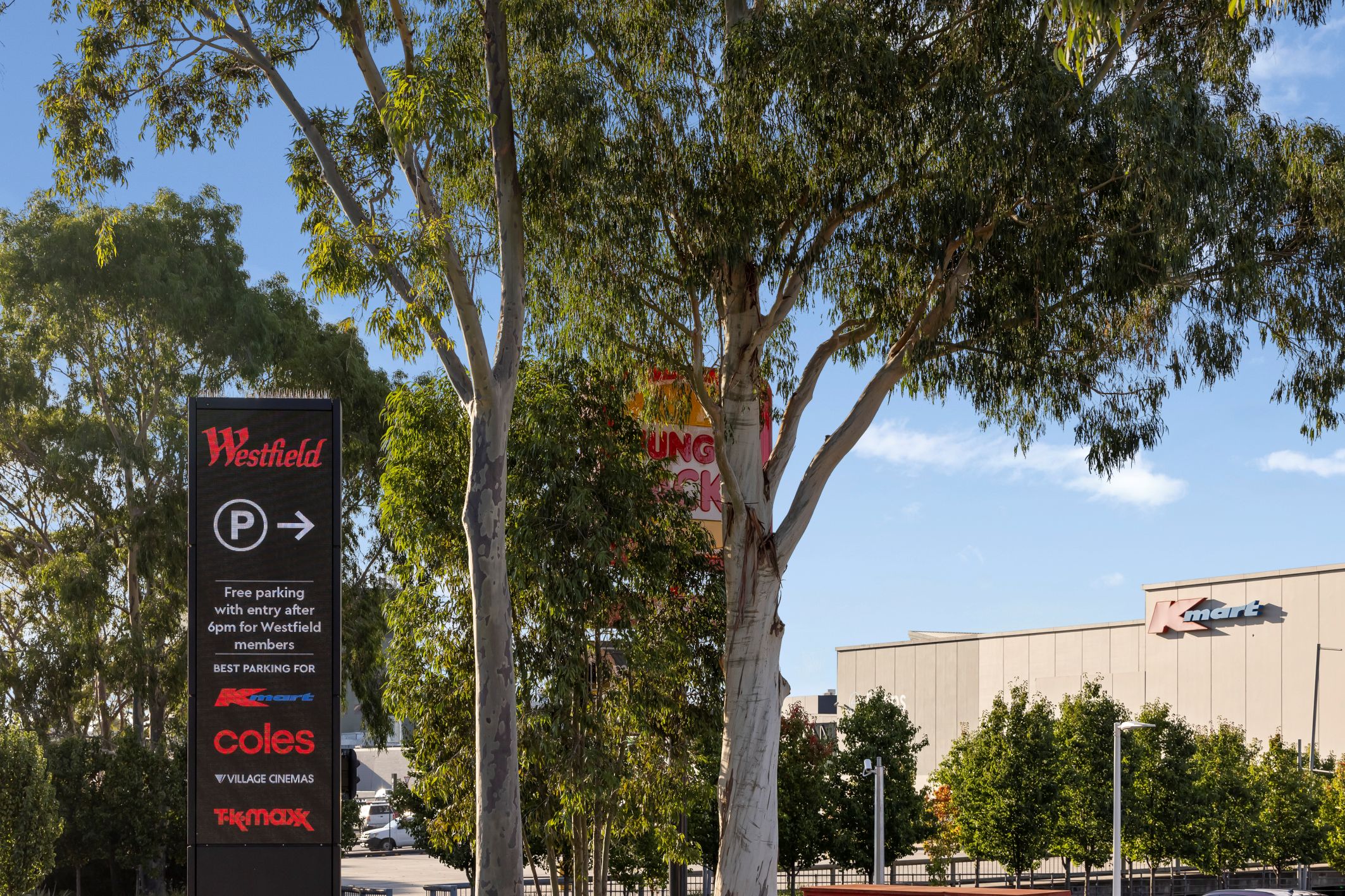 Arc Chappell Townhomes - Wantirna South - Lot 10