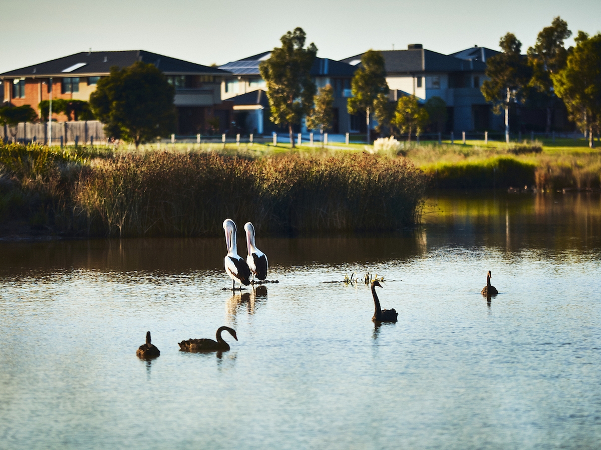 Berwick Waters Estate - Clyde North - Lot 2030