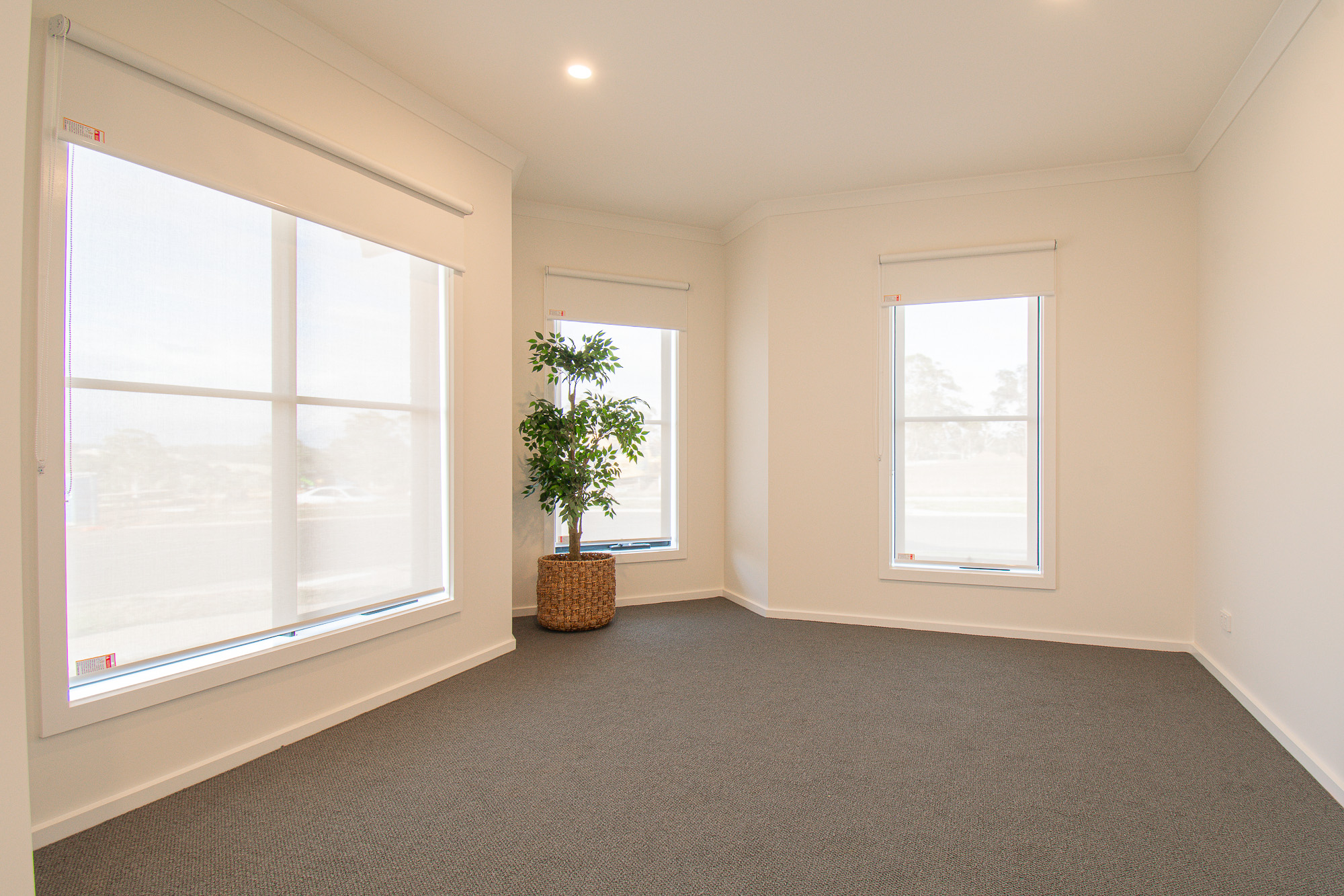 Drouin Fields Estate - Drouin - Lot 239