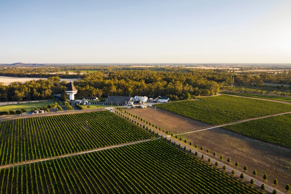 Elloura Estate - Nagambie - Lot 1112
