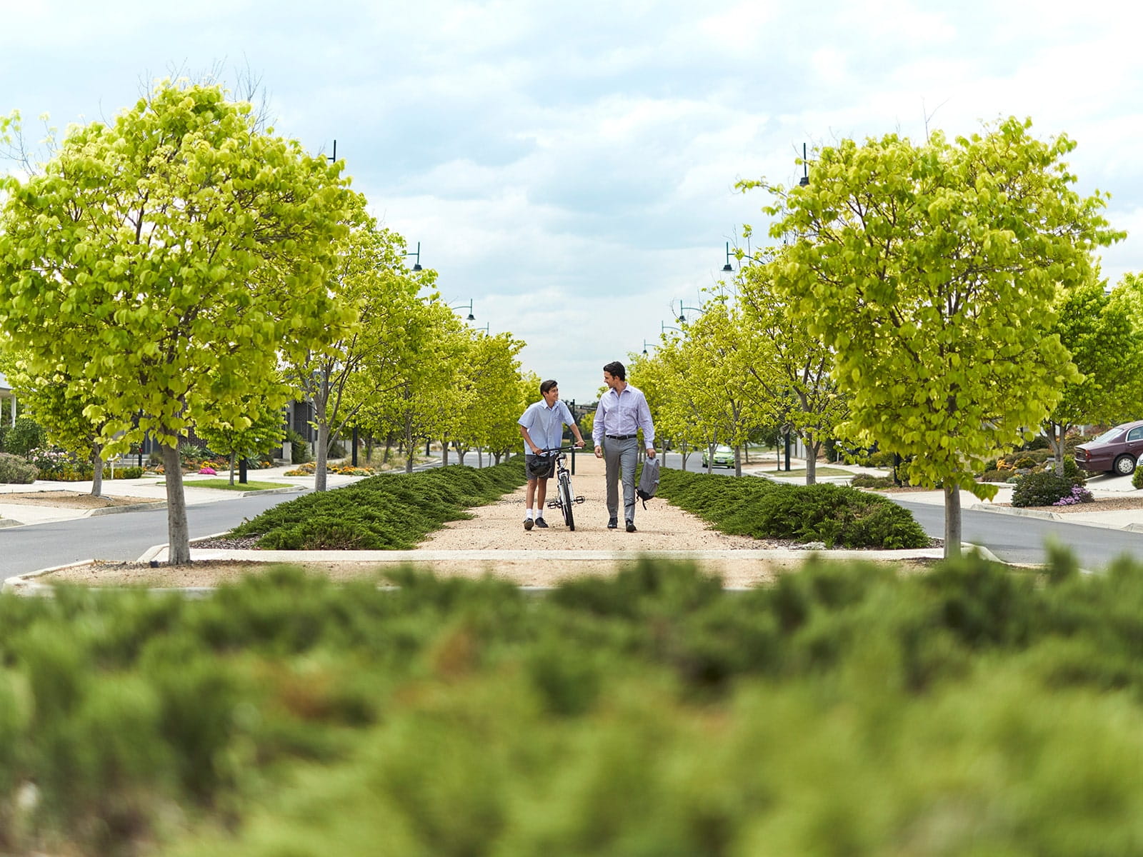 Maple Living Townhomes at Deanside Village - Deanside - Lot 2433