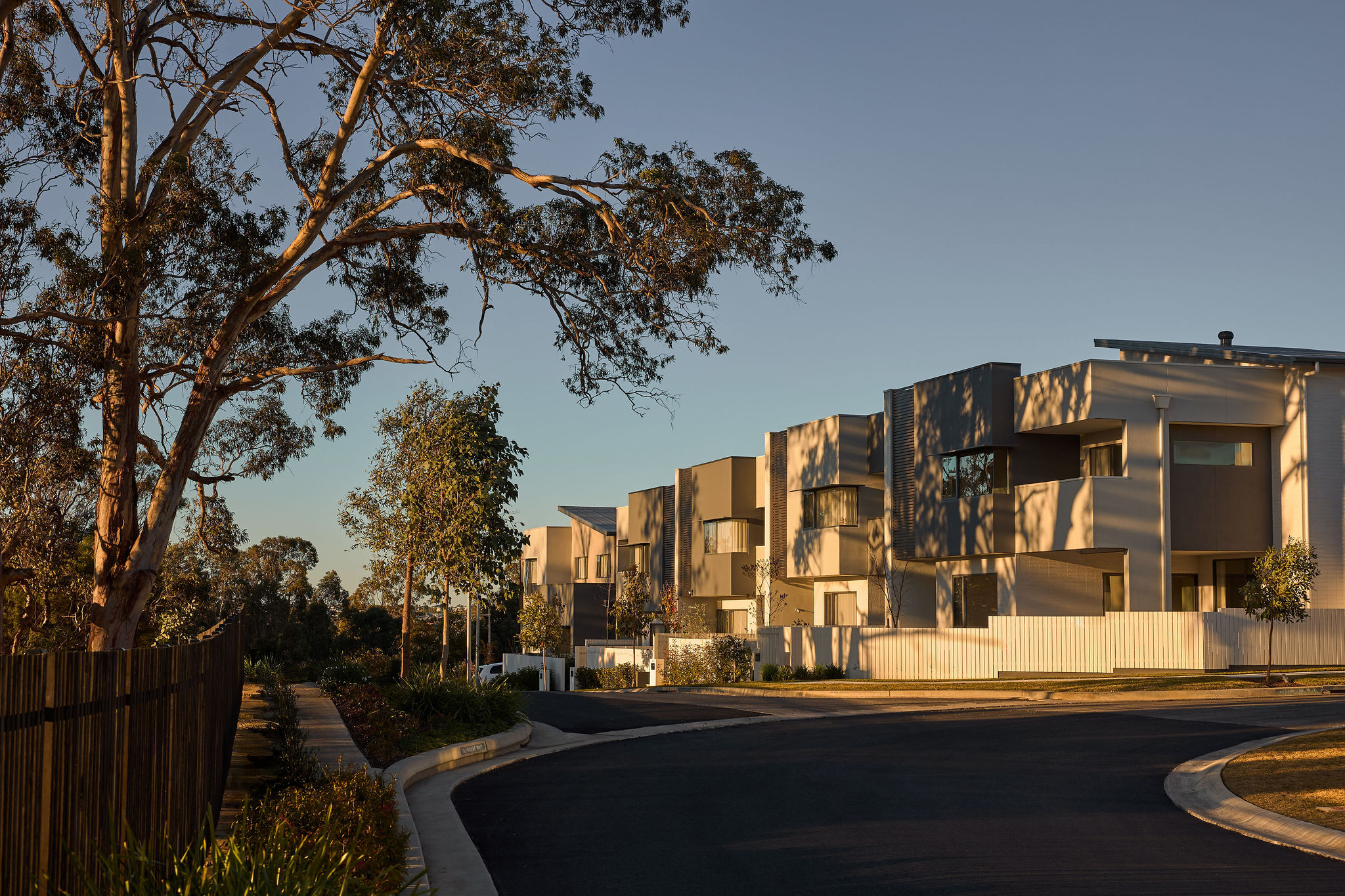 Norman Estates - Gledswood Hills  - Lot 166 Streetscape