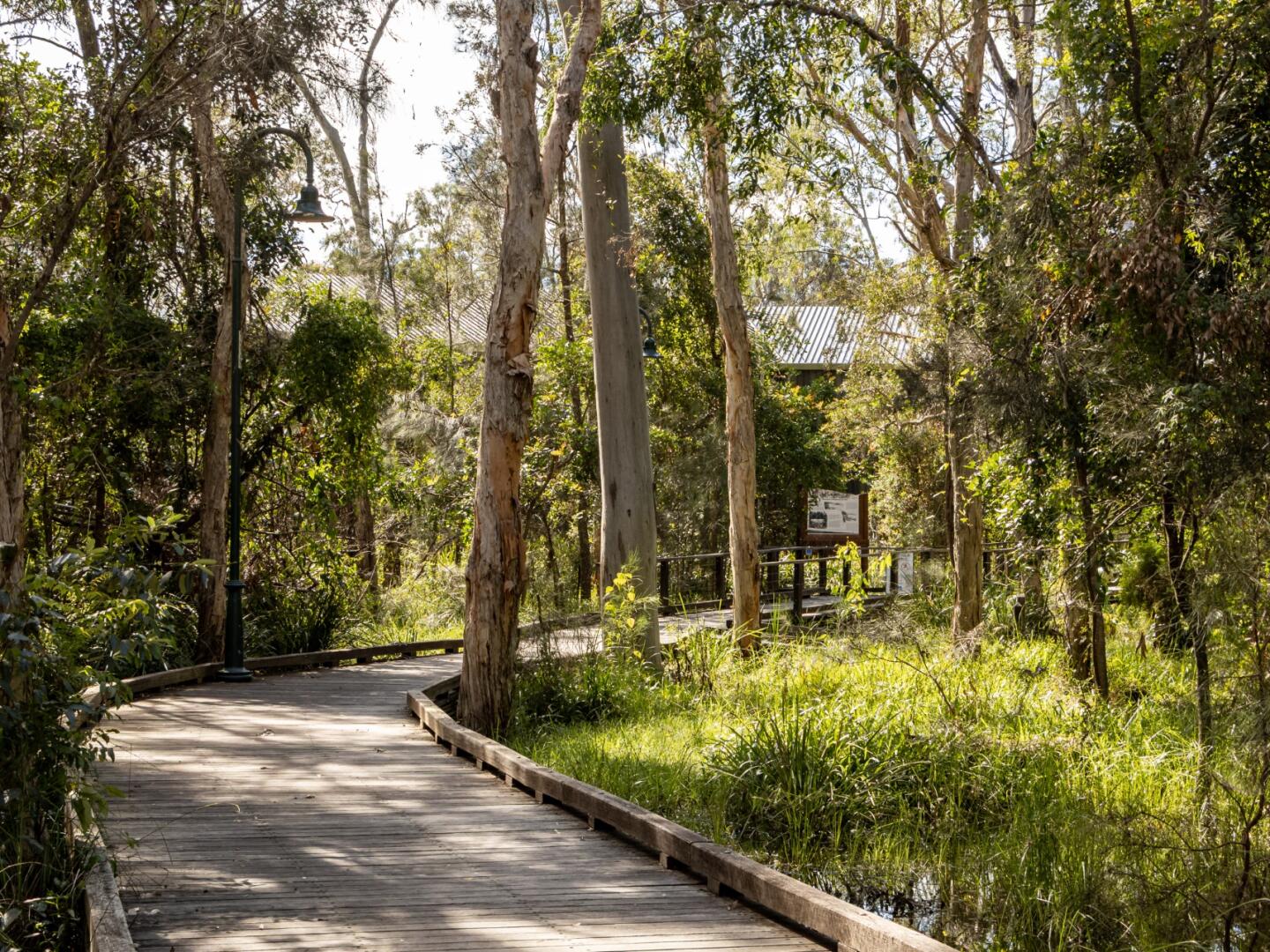 The Grove - Boondall - Lot 1