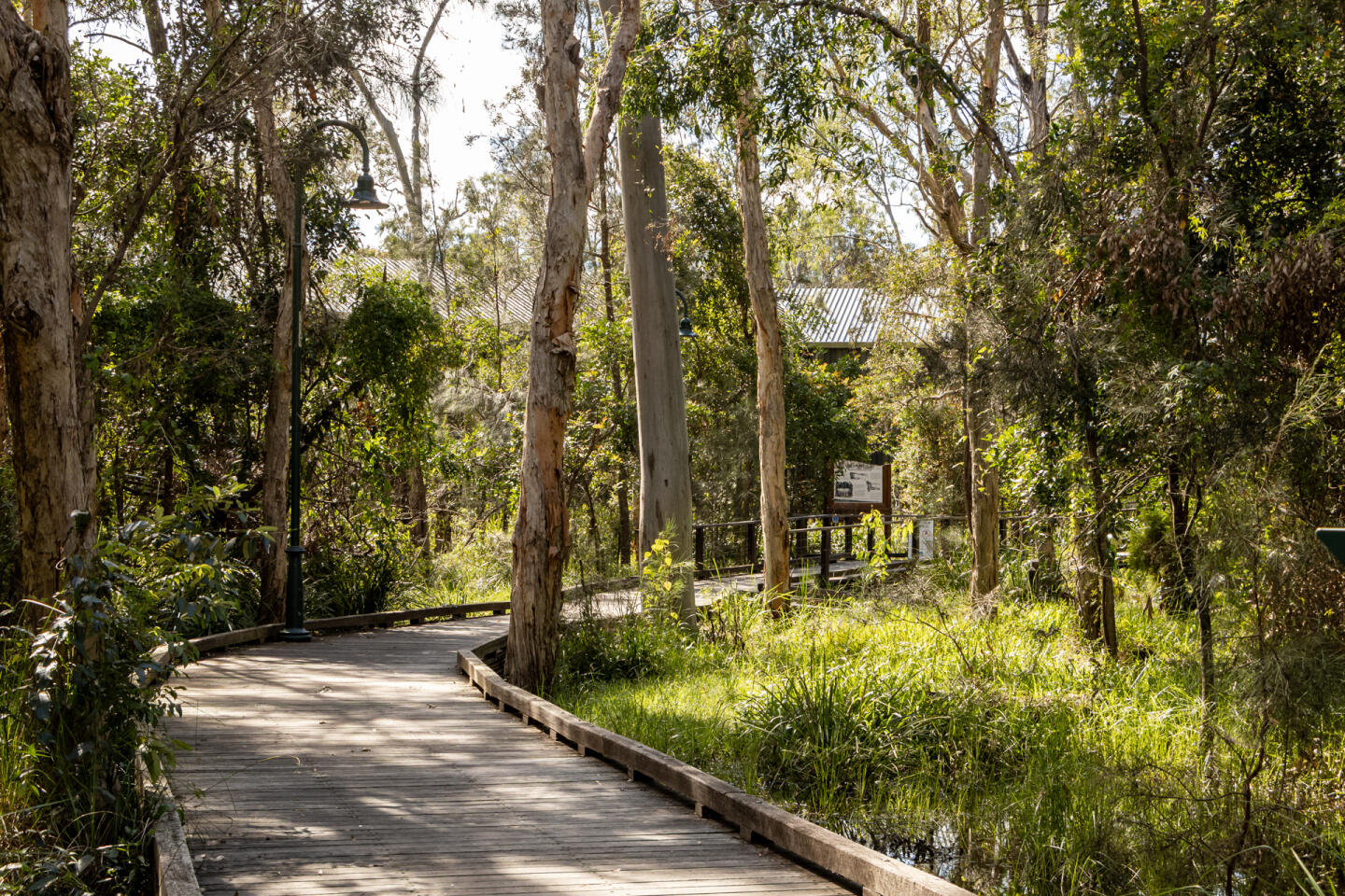 The Grove - Boondall - Lot 65
