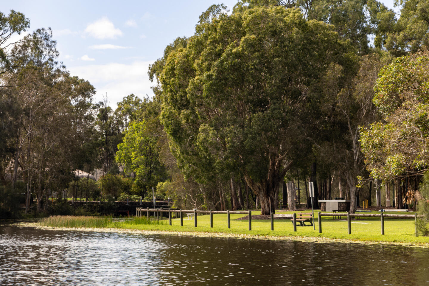 The Grove - Boondall - Lot 50