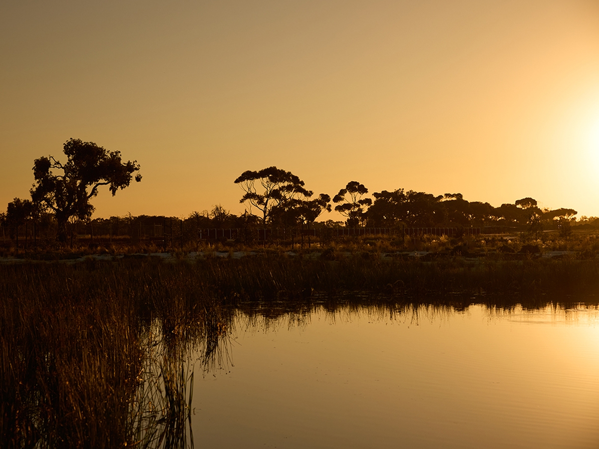 The Grove Estate - Tarneit - Lot 5416
