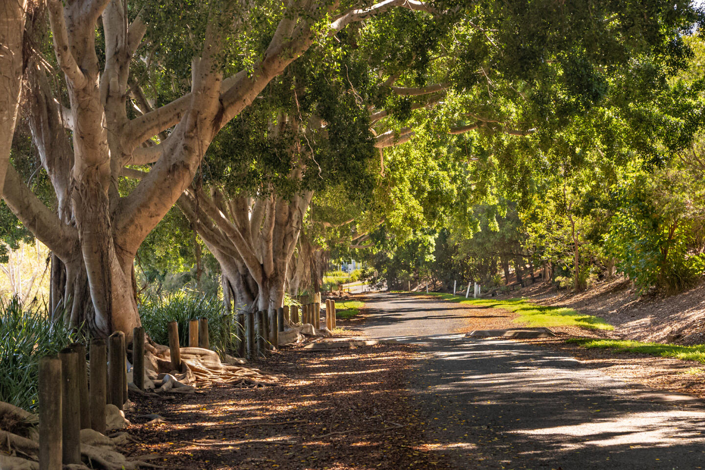 Vale Townhomes - Bray Park - Lot 8/316