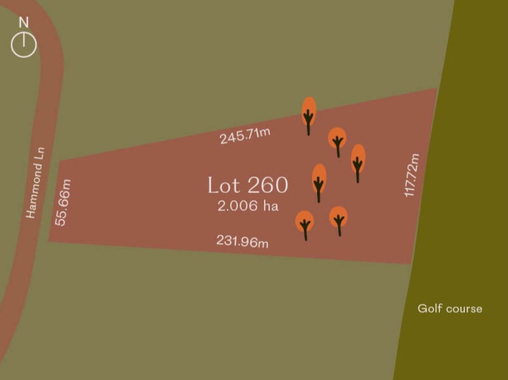 260