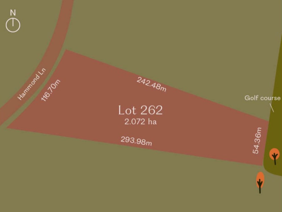 262