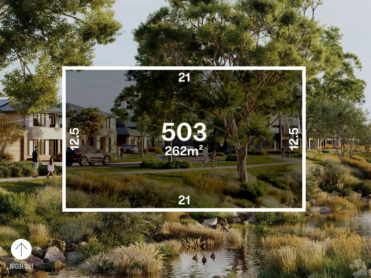 Acclaim - Donnybrook - Lot 503
