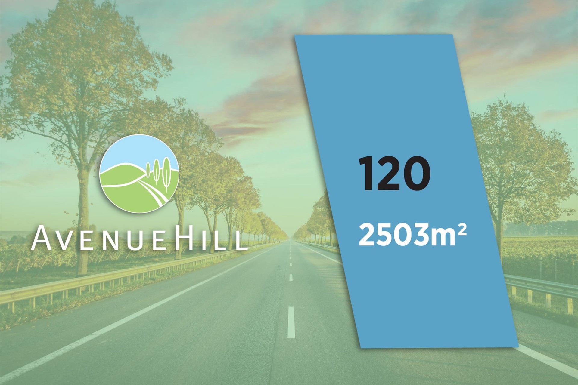 Avenue Hill Estate - Cardigan - Lot 120