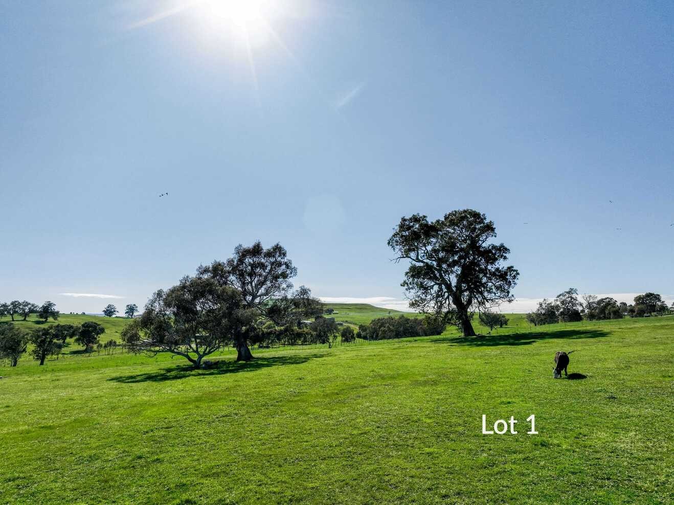 Battery Hill Estate - Mansfield - Lot 1