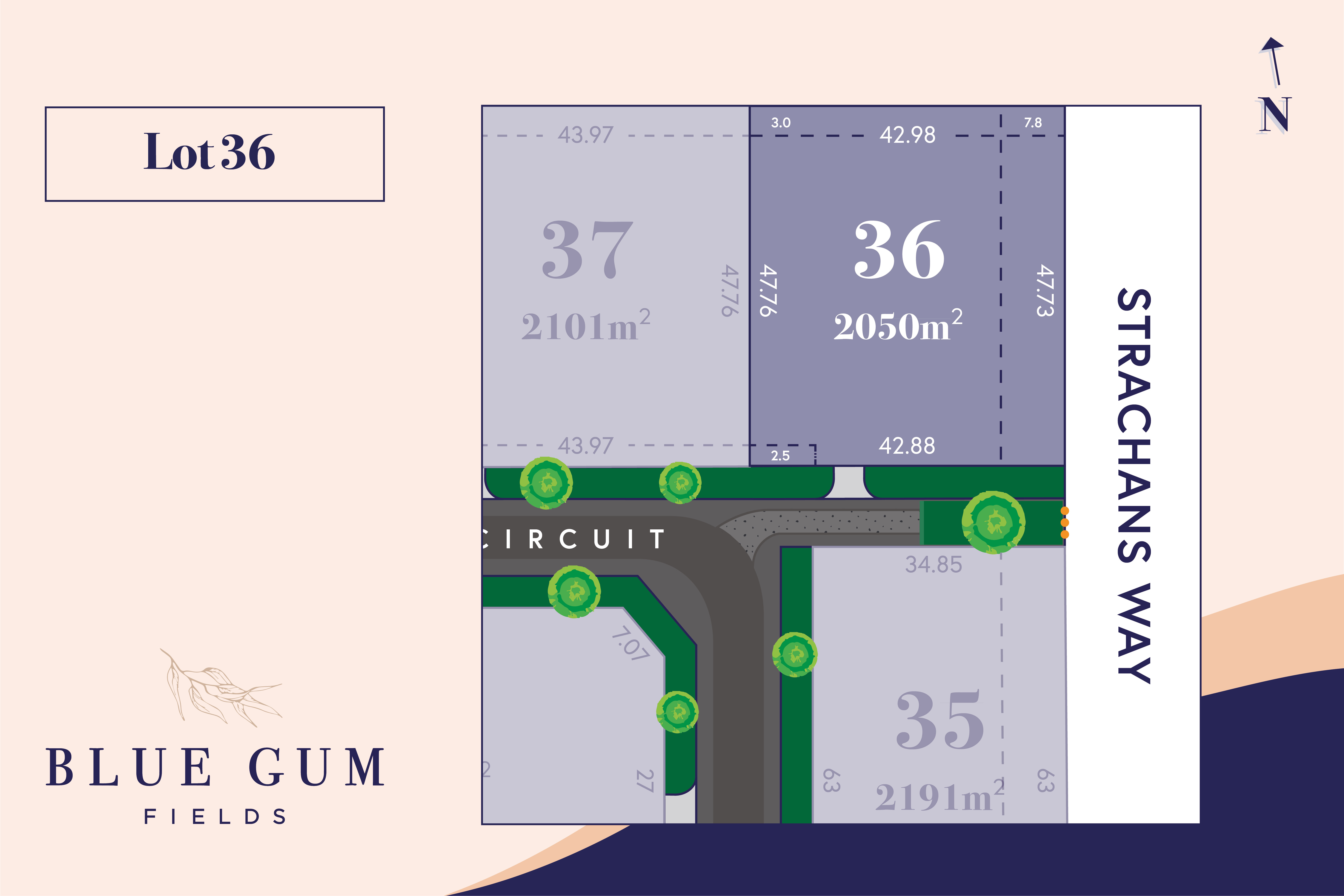 Blue Gum Fields Estate - Kyabram - Lot 36