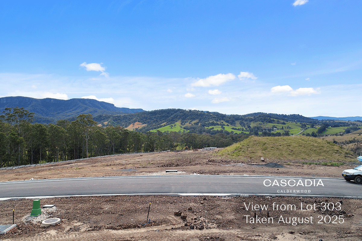 Cascadia Calderwood - Calderwood  - Lot 303 Aerial