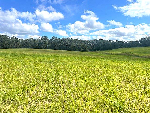 Meadows at D’Aguilar Estate - D'Aguilar - Lot UPON REQUEST Streetscape